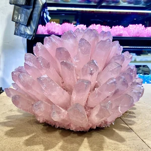 28,66 lb Recién Descubierto Polvo Natural Cristal Racimo Flor Forma Mineral Sp - Imagen 1 de 19