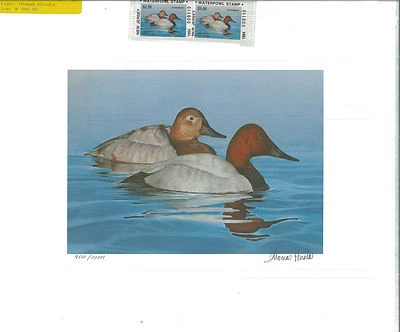 NEW JERSEY  #1 1984  DUCK  STAMP PRINT  CANVASBACKS MEDALLION ED by Tom Hirata - Image 1 of 2