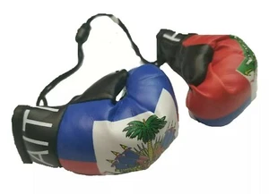 Guanto da boxe haitiano mini striscione bandiera auto retrovisione specchio isola mappa regalo - Foto 1 di 3