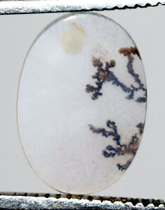 17.80*12.60 mm Natural Dendritic Agate Unique Piece Certified Gemstone