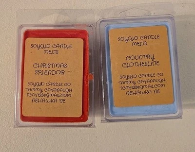 Винтажный SOYGLO свечи Co плавит Рождественское великолепие и страны линия одежды комплект из 2 - Изображение 1 из 3