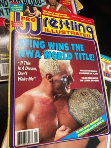 Revista ilustrada PWI Pro Wrestling WWF WCW - Noviembre 1990 - Campeón Sting NWA - Imagen 1 de 3