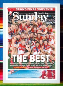 Framed 2012 SYDNEY SWANS AFL Premiers Poster - 45cm x 32cm x 3cm - Picture 1 of 3