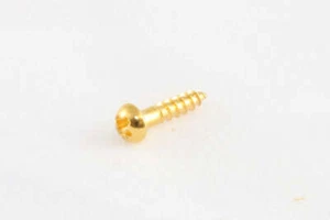 Allparts GS-3376 Small Tuner Screws - Gold, Pack of 16 - Picture 1 of 1