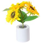 Sunflower LED Night Lamp Type-C Data Cable Rechargeable Models Sunflower