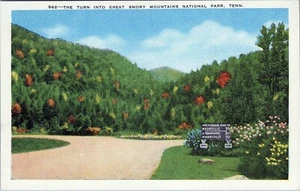 The Turn Great Smoky Mountains National Park Tenn. Postcard Unposted - Picture 1 of 2