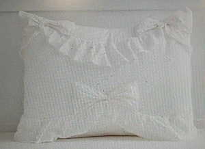 POTTERY BARN TEEN S/2 LoveShack ausgefallene Rüschenschleife Std Shams-elfenbein-OPEN BOX - Bild 1 von 5