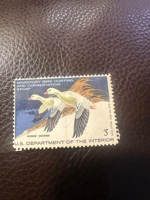 US Sc RW44 MNH. 1977 $5 Ross' Geese Duck Stamp - Image 1 of 2
