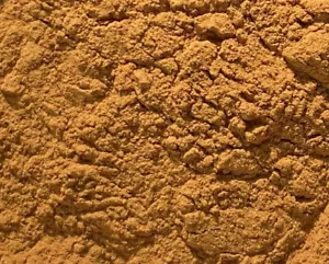 1 kg Zimt gemahlen Zimtpulver Cassia feinste Qualität Zimt Pulver gemahlen - Bild 1 von 1