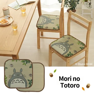 Totoro Igusa Seat Cushion 40x40cm Mori no Totoro Japanese Tatami Handmade Japan - Picture 1 of 6