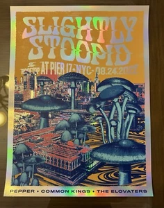 Slightly Stoopid Pier 17 NYC Foil 8/24/22 Elovaters Pepper Common Kings - Picture 1 of 1