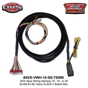 ARNÉS DE CABLEADO AVS 10' SLAM SPECIALTIES VÁLVULA SV-8C ARCO 7 CONMUTADOR PASEO AÉREO - Imagen 1 de 2
