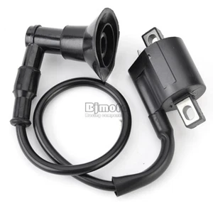 30510-110-000 Ignition Coil For Adly ATV 50 V VG VS-VG RS II Utility SupeRCross - Foto 1 di 9