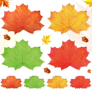 Erntedank Herbst Blatt Tischsets Blatt Tischsets Einweg Papier 48 Stück - Bild 1 von 11