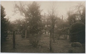 Villa mit Traube? Reben vorne, RPPC, Postkarte, geteilte Rückseite, unverpostet - Bild 1 von 2
