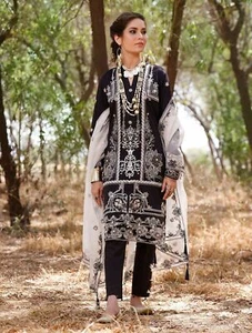 READY TO WEAR For Eid DAMEN BESTICKTER RASENANZUG MIT NETZ DUPATTA - Bild 1 von 5