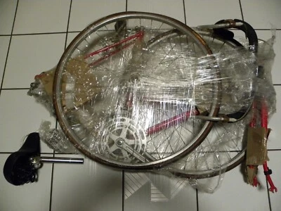 Schwinn SPORT LIMITED Niñas ARCHIVO Soldado RARO De colección BICICLETA Carretera BICICLETA 10 velocidades Foto 1 de 4