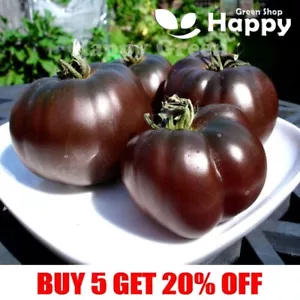 GEMÜSESAMEN TOMATE SCHWARZ - 30 SAMEN - BLACK PRINCE - Tomatensamen - ERBSTÜCK - Bild 1 von 2