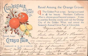 Vintage Citrus Fair Cloverdale California Postcard 1900s 1908 Sonoma County - Picture 1 of 2