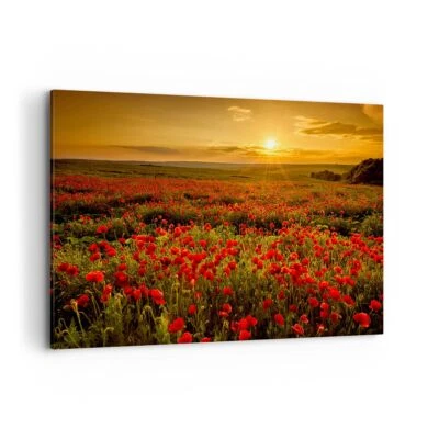 Wandbilder 120x80cm Leinwandbild Mohn Blume Wiese Groß XXL Bilder Art Wanddeko - Bild 1 von 4