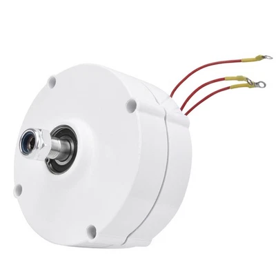 Permanent Magnet Generator High Reliability 12V 100W 3 Phase Alternator NE 100 - Bild 1 von 4