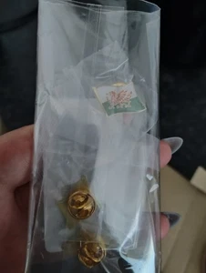 Set Of 3 Flag Of Wales Pin Badges ,Brand New Still In Original Wrapping - Picture 1 of 2