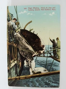 Postal Nueva cabeza cortada de caza de ballenas Bedford MA - Imagen 1 de 2