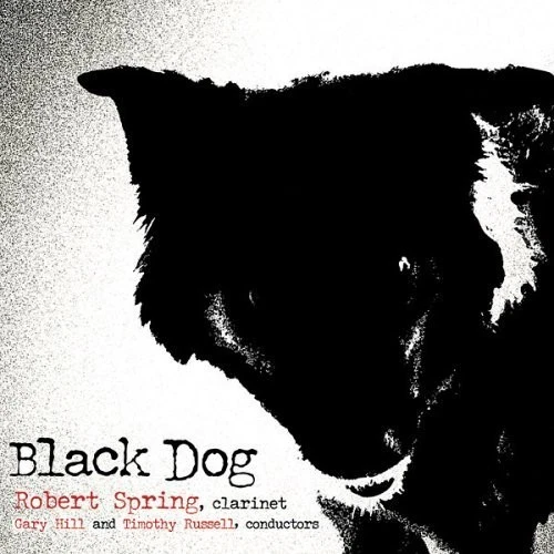 ROBERT SPRING Black Dog (CD) Album - Bild 1 von 1