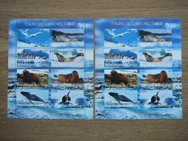 Penguins Seals Whales Congo 2012 MNH 2x m/s (perf. + imperf.) #s999 - Image 1 of 1