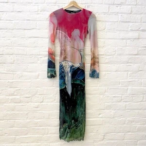 Desigual || Sheer Mesh Hummingbird Midi Dress Open Back Slim Fantasy Tulle Small - Picture 1 of 8