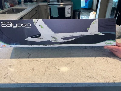 Avião Flyzone Micro Calypso RC Glider - Versão TxR - Imagem 1 de 4