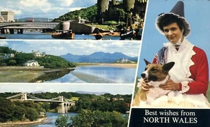 Postal Best Wishes from North Wales Conway Castle Menal Straits 1962 - Imagen 1 de 2