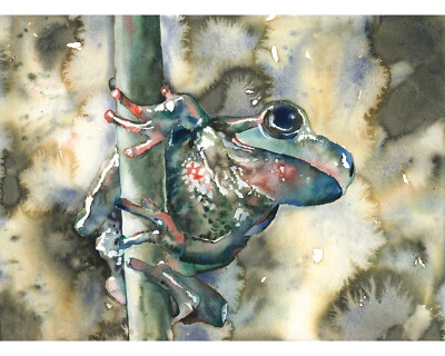 Colorful watercolor painting nursery decor art wildlife painting frog (print) - Image 1 of 4