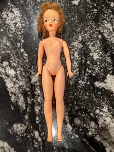 Muñeca Tammy vintage Ideal Toys corp años 70 Sindy friend BS-12 - Imagen 1 de 16