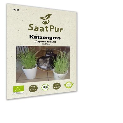 100 g Katzengras Samen Saatgut Grünfutter TOP Katze Naturgras  Weizengras Katze - Bild 1 von 3