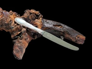 Old Mirror By TOWLE STERLING, 8 3/4" New French Hollow Butter Knife - Picture 1 of 5