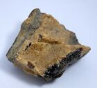 Natural Egl Certified 219.35 Ct Baltic Amber Translucent Rough Loose Gemstone