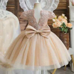 Toddler Girl Birthday Party Dress Princess Lace Tulle Short Gown Flower Dress - Picture 1 of 27