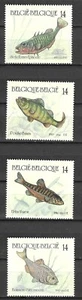 Belgium 1990 Fauna Wildlife Marinelife Fisch Fish compl set MNH - Imagen 1 de 1