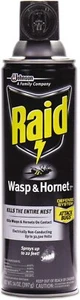 Raid Wasp And Hornet Killer - Picture 1 of 1
