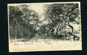 AK Darmstadt Schepp Allee 1902 gelaufen - Bild 1 von 2