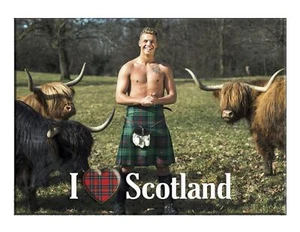 Imán de nevera escénico metálico I Love Scotland - Imagen 1 de 2