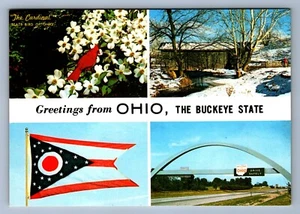 Postcard Vtg Ohio Greetings The Buckeye State Cardinal Nature History 4x6 - Picture 1 of 2