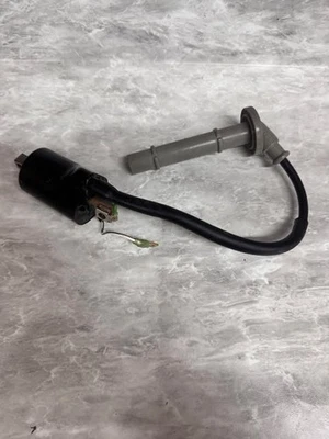 KTM 2023-2024 250 350 BUJÍA TAPA RESISTENCIA BOBINA 58439006000 79139090000 Foto 1 de 3