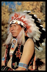 Postcard Native American Chief in Traditional Regalia, McCook, NE - Picture 1 of 2