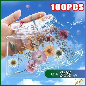 100PCS Transparent Dried Flower Bookmarks Clear DIY Bookmarks for Dried Flowers - Picture 1 of 26