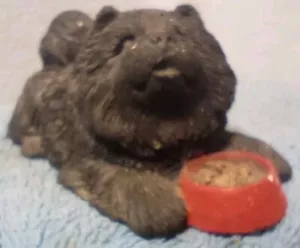 Chow Chow Dog With Bowl Sandicast Figurine Ceramic Resin - Picture 1 of 8