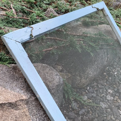 Architectural Salvage 30" Vtg Antique Window Screen Blue Painted Wood Frame #B Cover