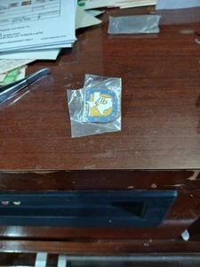 Dallas BPOE ELKS PIN - Picture 1 of 1