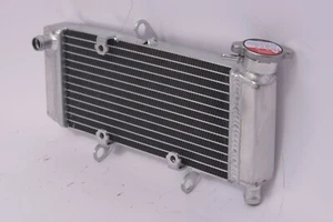 Nuevo radiador de aluminio para: Honda CBR300R CBR300RA AC 2015 - 2019 2016 2017 2018 - Imagen 1 de 1
